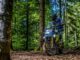 Gel&auml;ndeg&auml;ngige Motorr&auml;der Im Vergleich